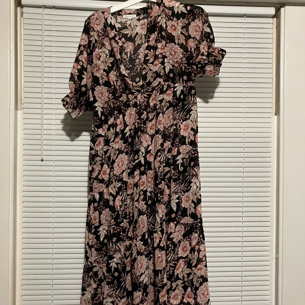 Beautiful sheer dress.